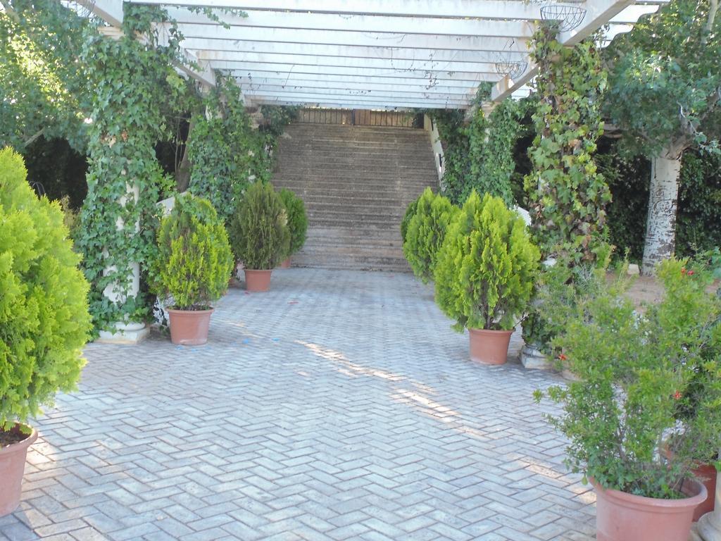 Hostal El 402 Iznalloz Exterior photo